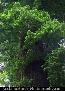 0001-0209-0808-2020_sm.jpg