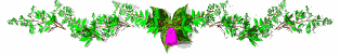 pink_flower_divider_md_wht.gif