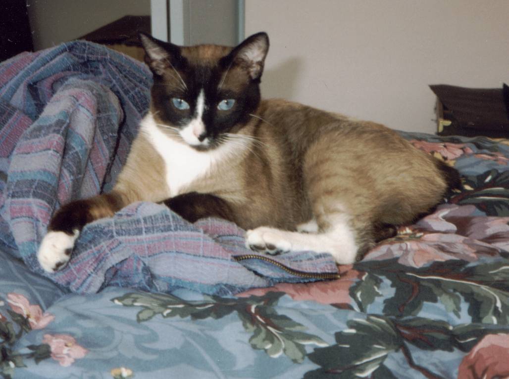 roberts0002.jpg