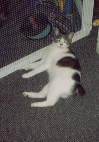 roberts0009.jpg